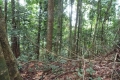 DSCN4919