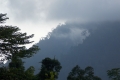 DSCN4932