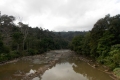 DSCN4951