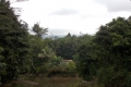 DSCN4955