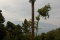 DSCN0523