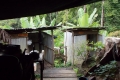 DSCN0539