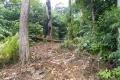 DSCN0564