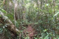 DSCN0589