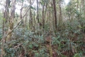 DSCN0598