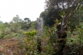 DSCN0624