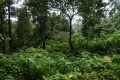 E-BinayiaGoingUpDSC04349-57