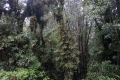 E-BinayiaGoingUpDSC04349-62