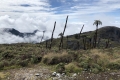 F-Binaiya-Summit-10