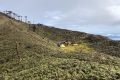 F-Binaiya-Summit-2