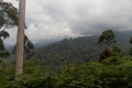 DSCN6131