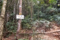 DSCN6147