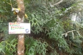 DSCN6172