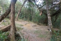 DSCN6175