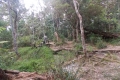 DSCN6176