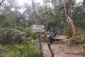 DSCN6177