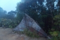 DSCN6203