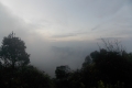 DSCN6216