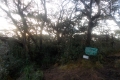 DSCN6221