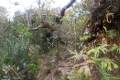 DSCN6224