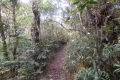 DSCN6225