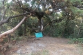 DSCN6226