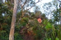 DSC07479