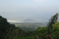DSC07542