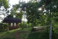 DSC07545