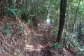 DSC07555