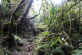 DSC02616