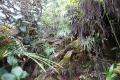 DSC02617