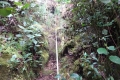 DSC02619