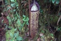 DSC02621