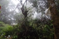 DSC02624