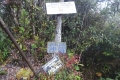 DSC02631
