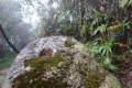 DSC02634