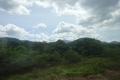 DSC02661