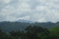 DSC02663