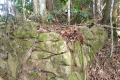 What remains of the stone walls of The Hermitage on Arang Para (Dan Quinn, July 2024)