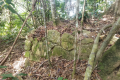 What remains of the stone walls of The Hermitage on Arang Para (Dan Quinn, July 2024)