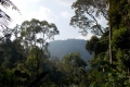 DSCN7491