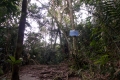 DSCN7514