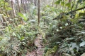 DSCN7519