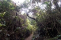DSCN7524