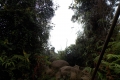 DSCN7529