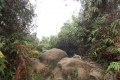 DSCN7561