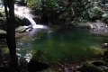 IMG-20190208-WA0001