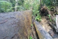 IMG-20190208-WA0002
