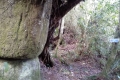 IMG-20190208-WA0004